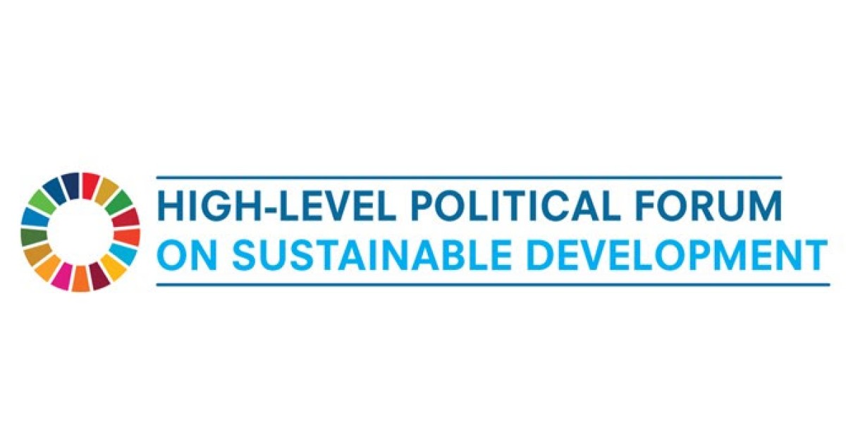 HighLevel Political Forum 2022 Information Sheet Global Campaign for